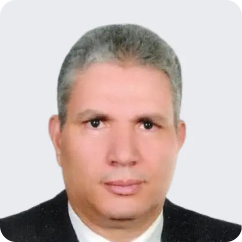 Mohamed Badawi development