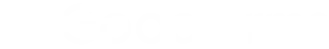 logo1 development