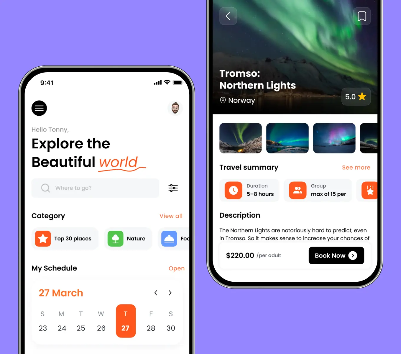 Adventure tours booking website development